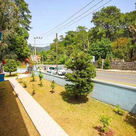 Daire Orman Daily Weekly Muğla
