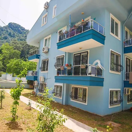 Daire Orman Daily Weekly Muğla